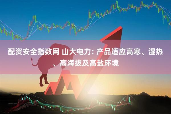 配资安全指数网 山大电力: 产品适应高寒、湿热、高海拔及高盐环境